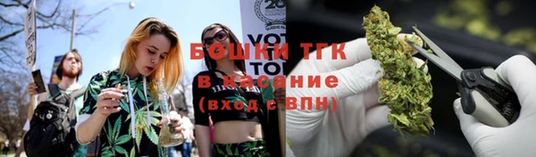 СК Аркадак